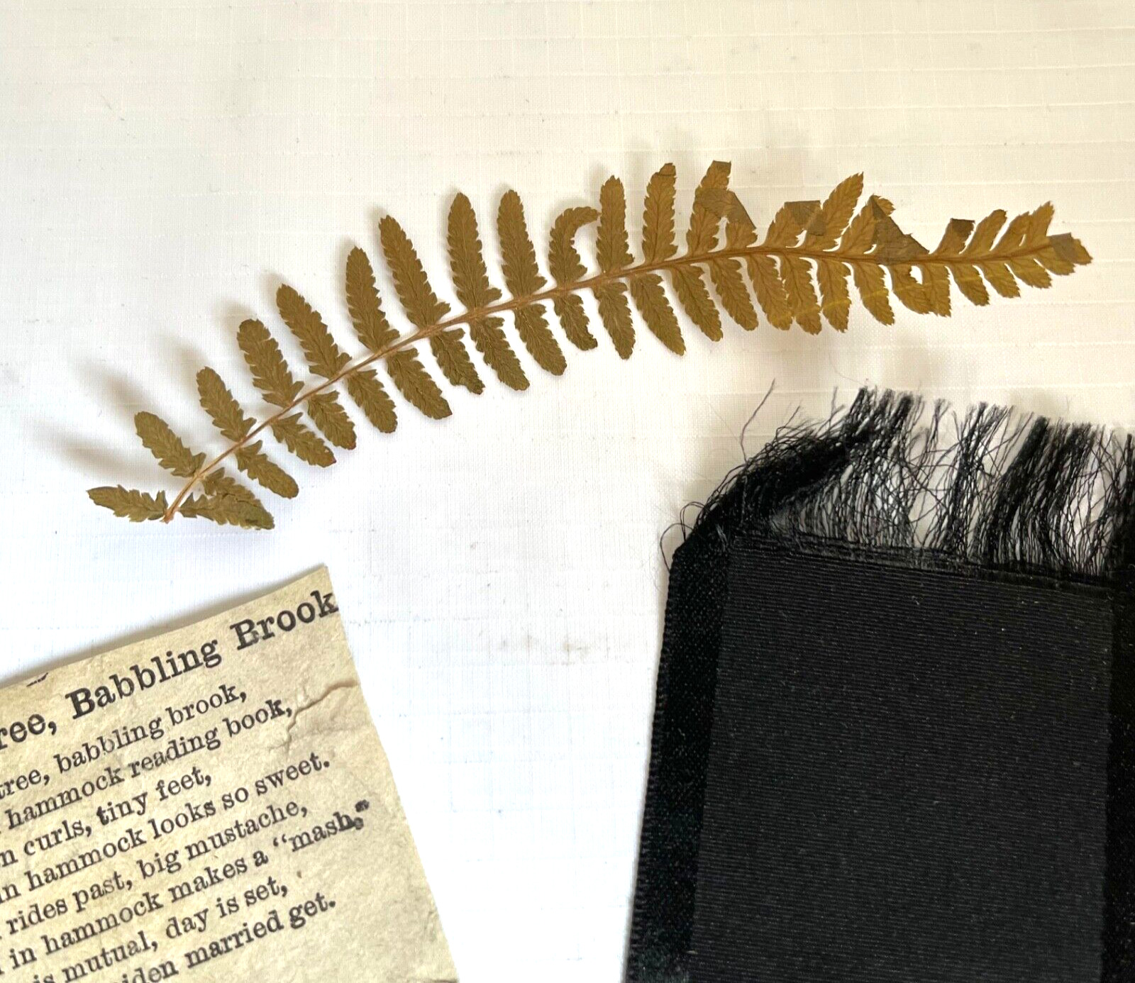 Ephemera Lot 1800s Ribbon Bookmark Pressed Fern Paper Clipping Junk Journal