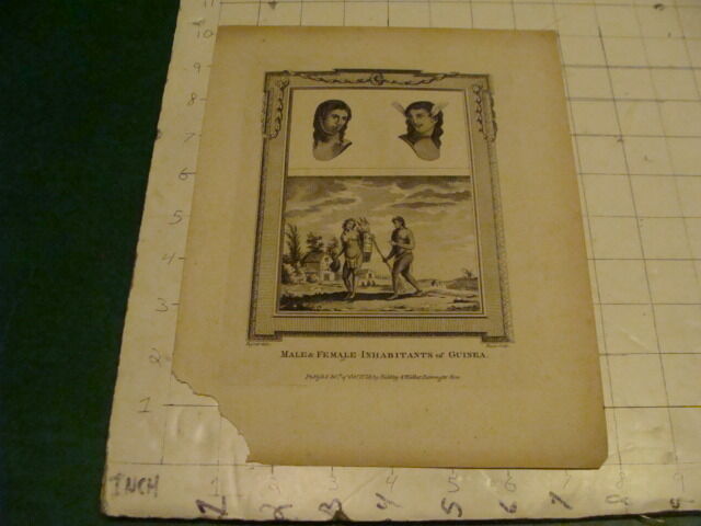 Original Engraving: 1700's or 1800's - MALE & FEMALE INHABITANTS of GUINEA  1778