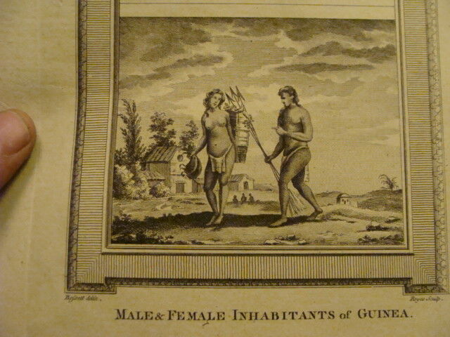 Original Engraving: 1700's or 1800's - MALE & FEMALE INHABITANTS of GUINEA  1778