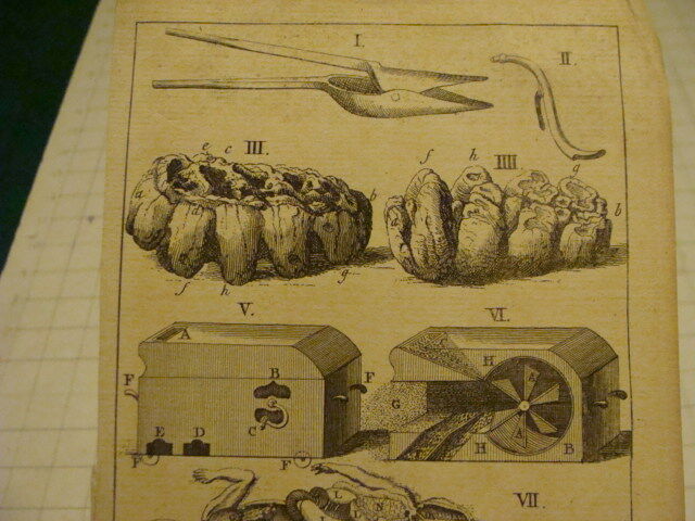 Original Engraving: 1700's or 1800's - in Greek, discected animal, trap ?? 