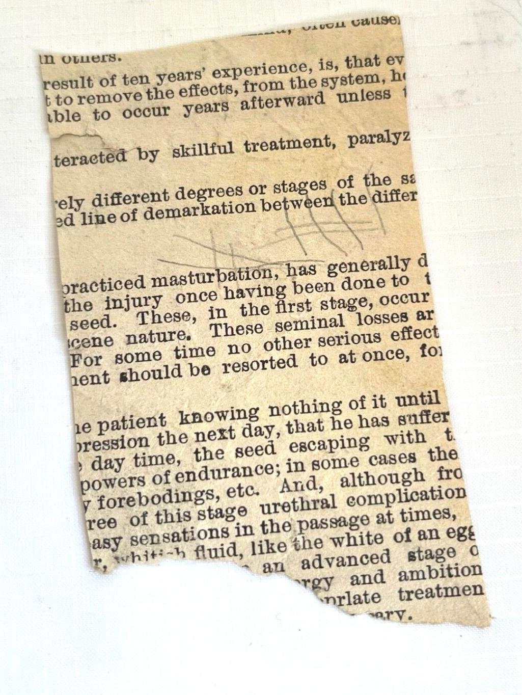 Ephemera Lot 1800s Ribbon Bookmark Pressed Fern Paper Clipping Junk Journal