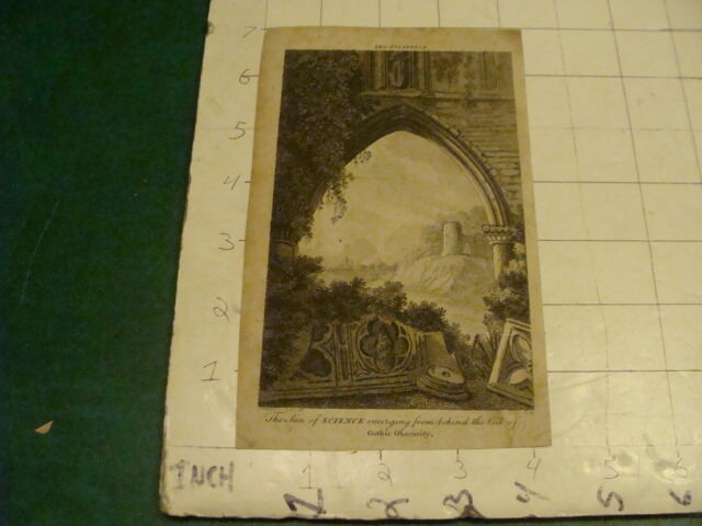 Original Engraving: 1700's or 1800's - Science emerging behind Veil GOTHIC OBSER