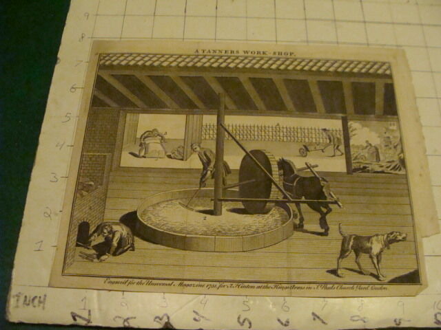 Original Engraving:1700's or 1800's - A TANNERS WORK-SHOP 