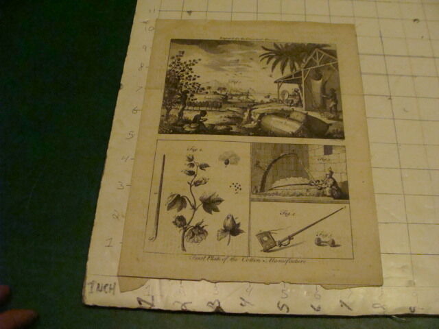 Original Engraving:1700's or 1800's - FIRST PLATE OF THE COTTON - MANUFACTURE 