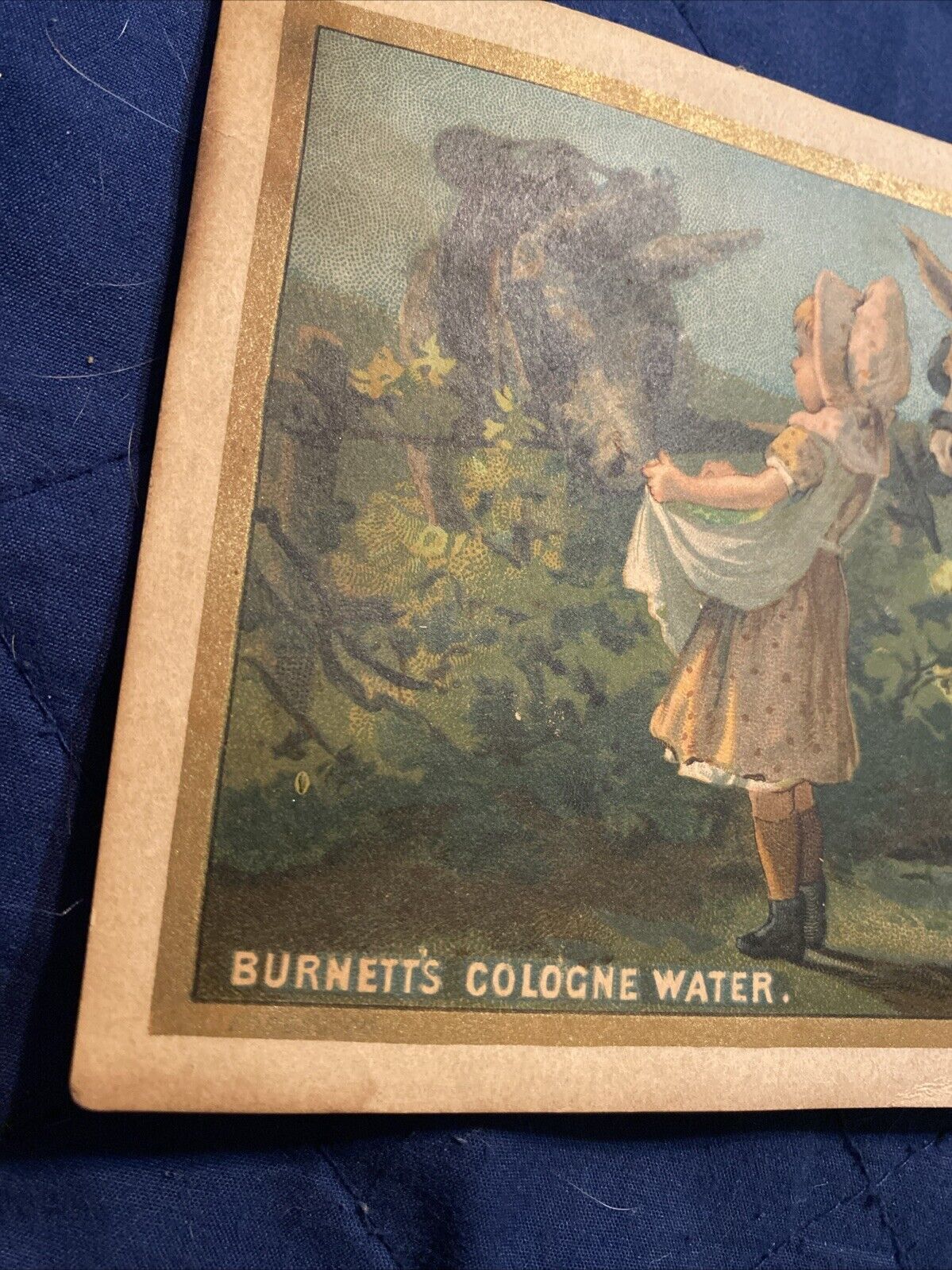 Antique 1800s Burnett’s Cologne Water Trade Card (Cocoaine, Extracts, Kalliston)