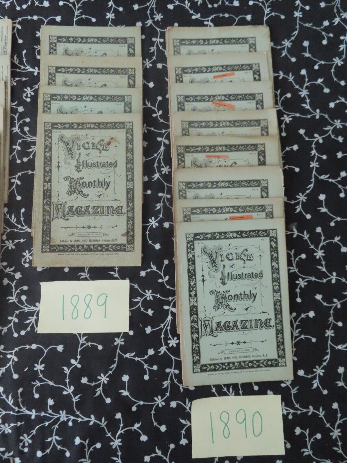 Vick's Illustrated Monthly Magazine  Lot x 33 1800s