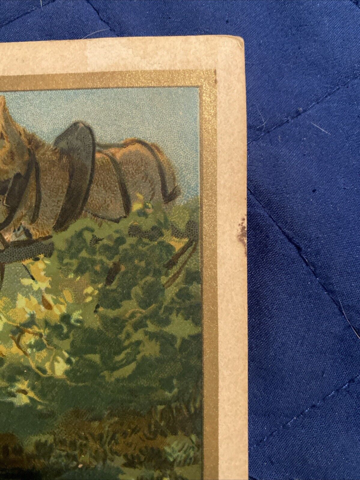 Antique 1800s Burnett’s Cologne Water Trade Card (Cocoaine, Extracts, Kalliston)