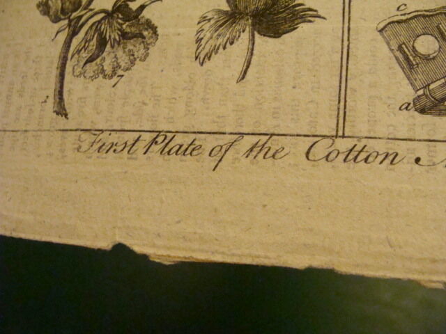 Original Engraving:1700's or 1800's - FIRST PLATE OF THE COTTON - MANUFACTURE 