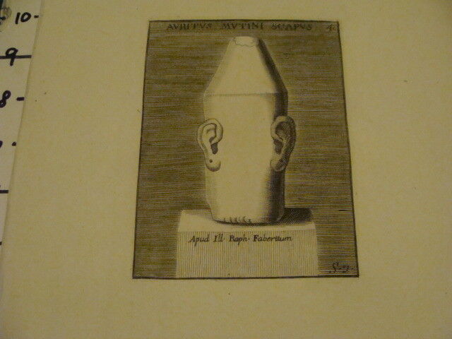 original Engraving: 1700's - very odd - AVRITVS MVTINI SCAPUS - APUD ILL RAPH 