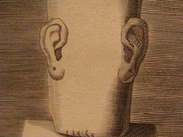 original Engraving: 1700's - very odd - AVRITVS MVTINI SCAPUS - APUD ILL RAPH 