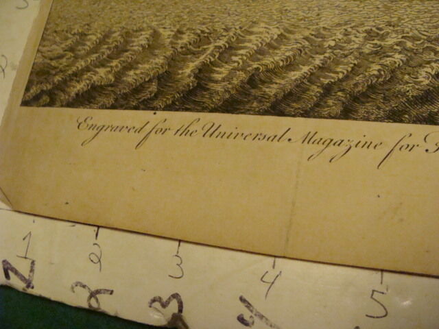 Original Engraving:1700's or 1800's  a Perspective View of the CAPE OF GOOD HOPE