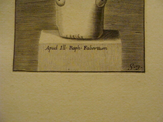 original Engraving: 1700's - very odd - AVRITVS MVTINI SCAPUS - APUD ILL RAPH 