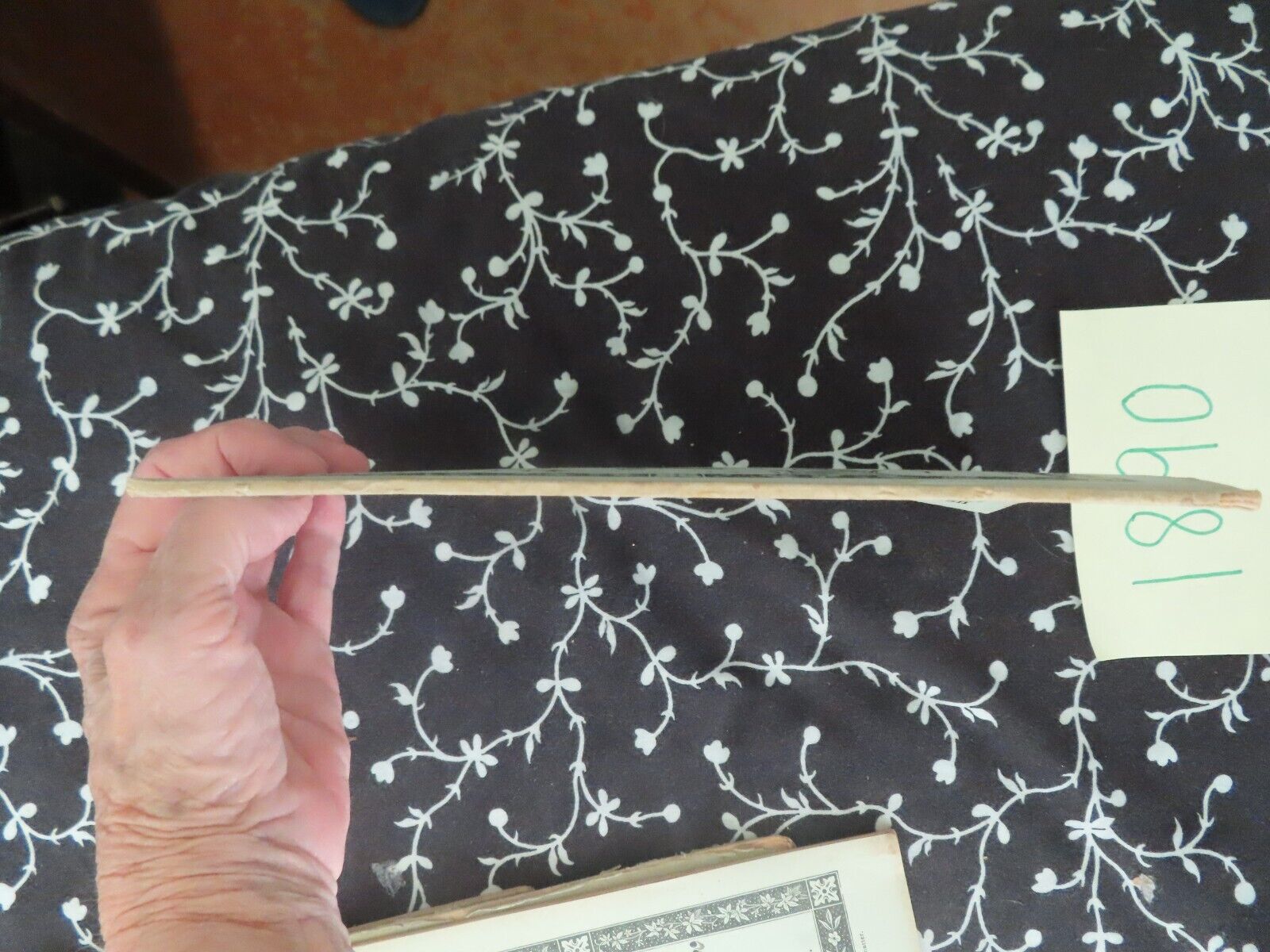 Vick's Illustrated Monthly Magazine  Lot x 33 1800s