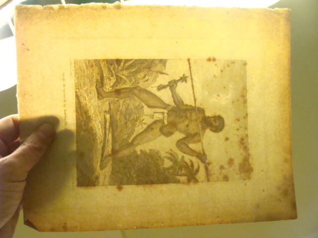 Original Engraving:1700's or 1800's - Savage of NEW CALEDONIA w Spear A W WARREN