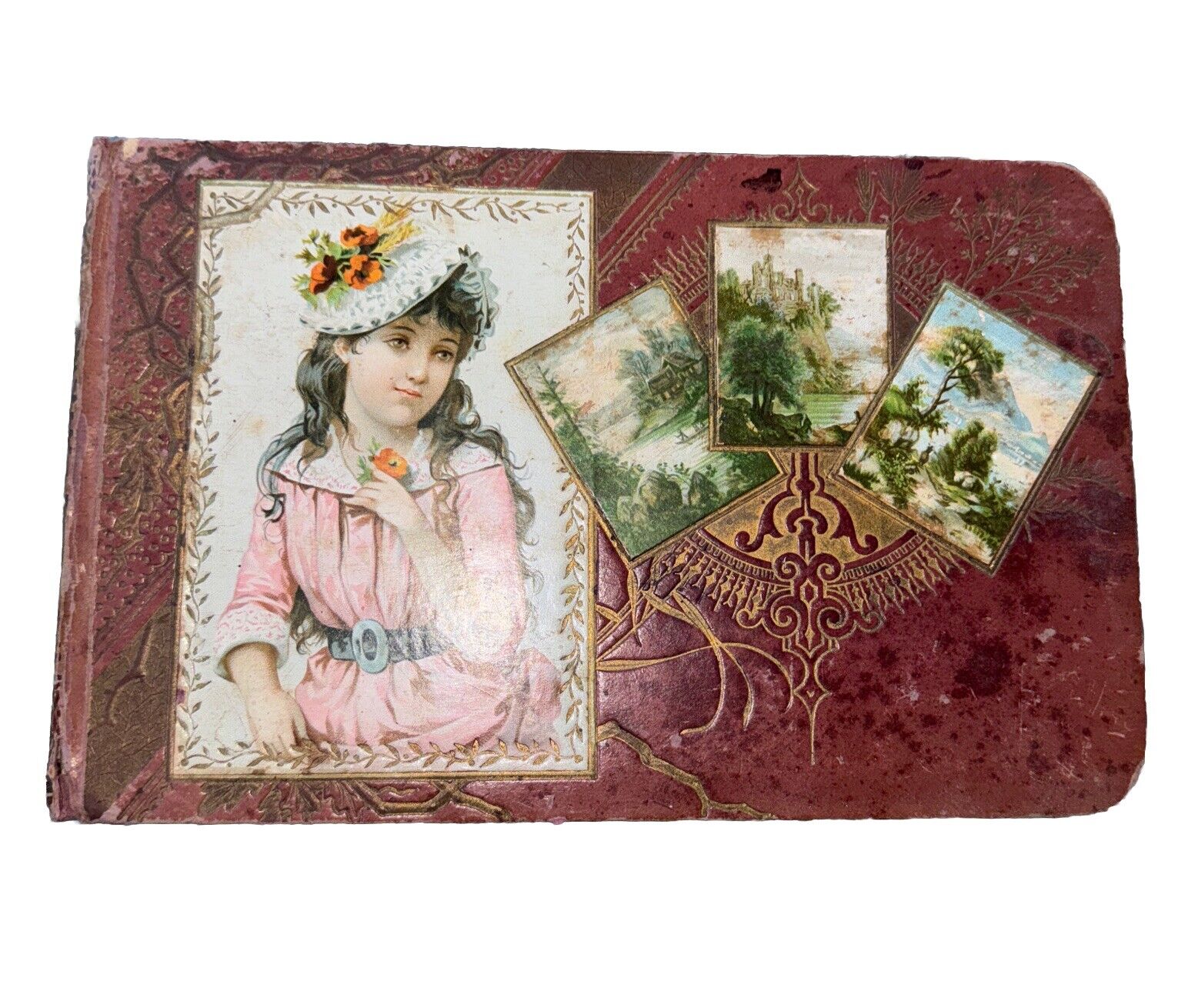 1800s & 1900s Victorian Autographs Book Genealogy Augusta Maine Antique Decor