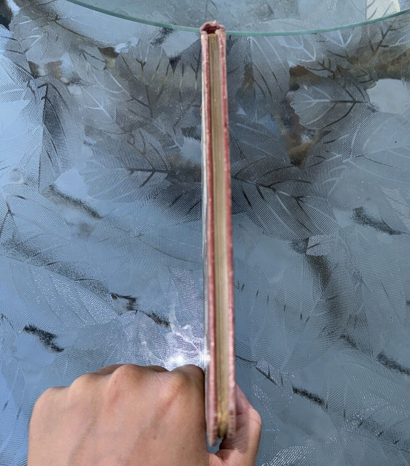 1800s & 1900s Victorian Autographs Book Genealogy Augusta Maine Antique Decor