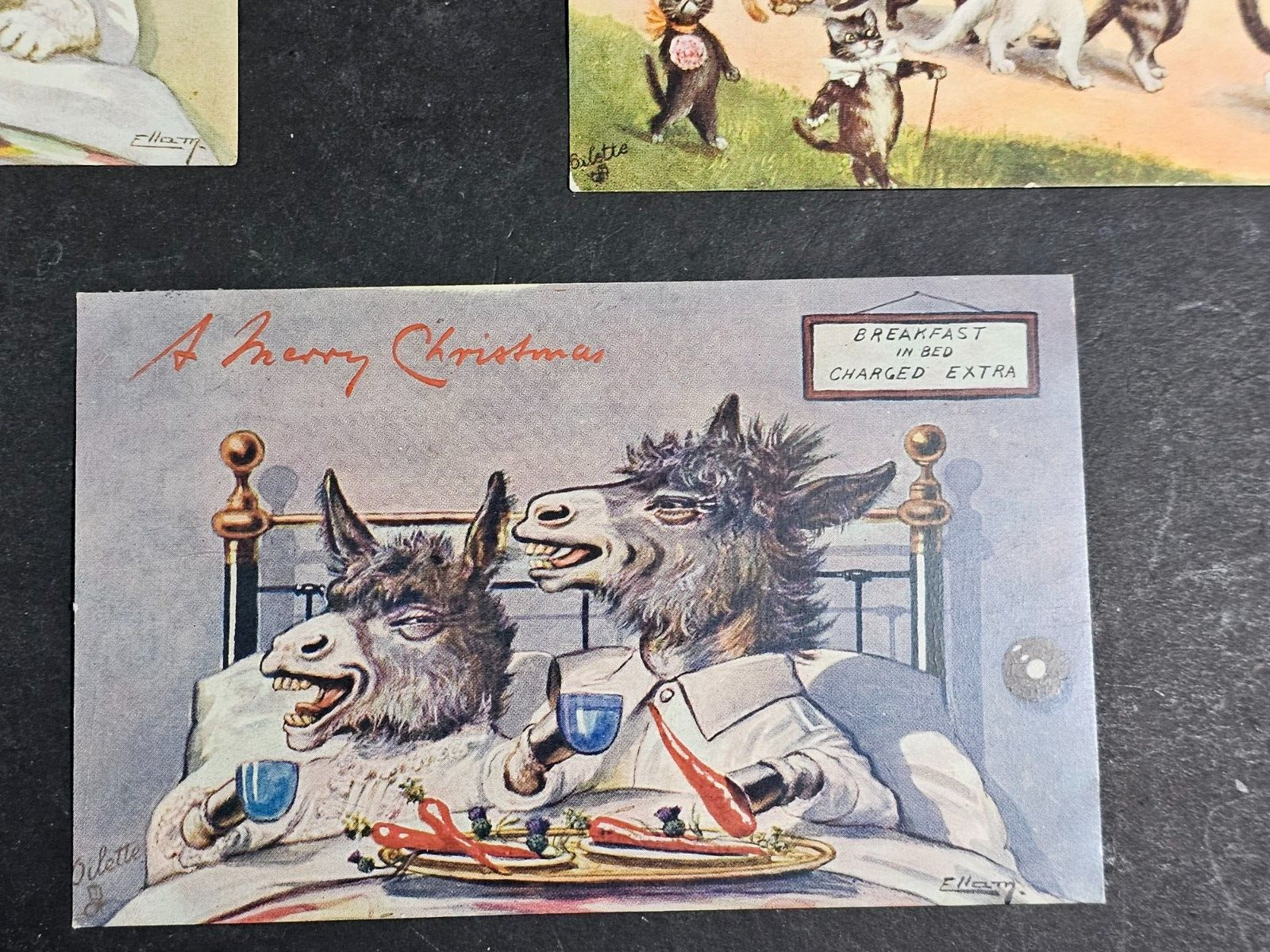 Tuck animal set of 5 3x5 early 1900s cards Great examples