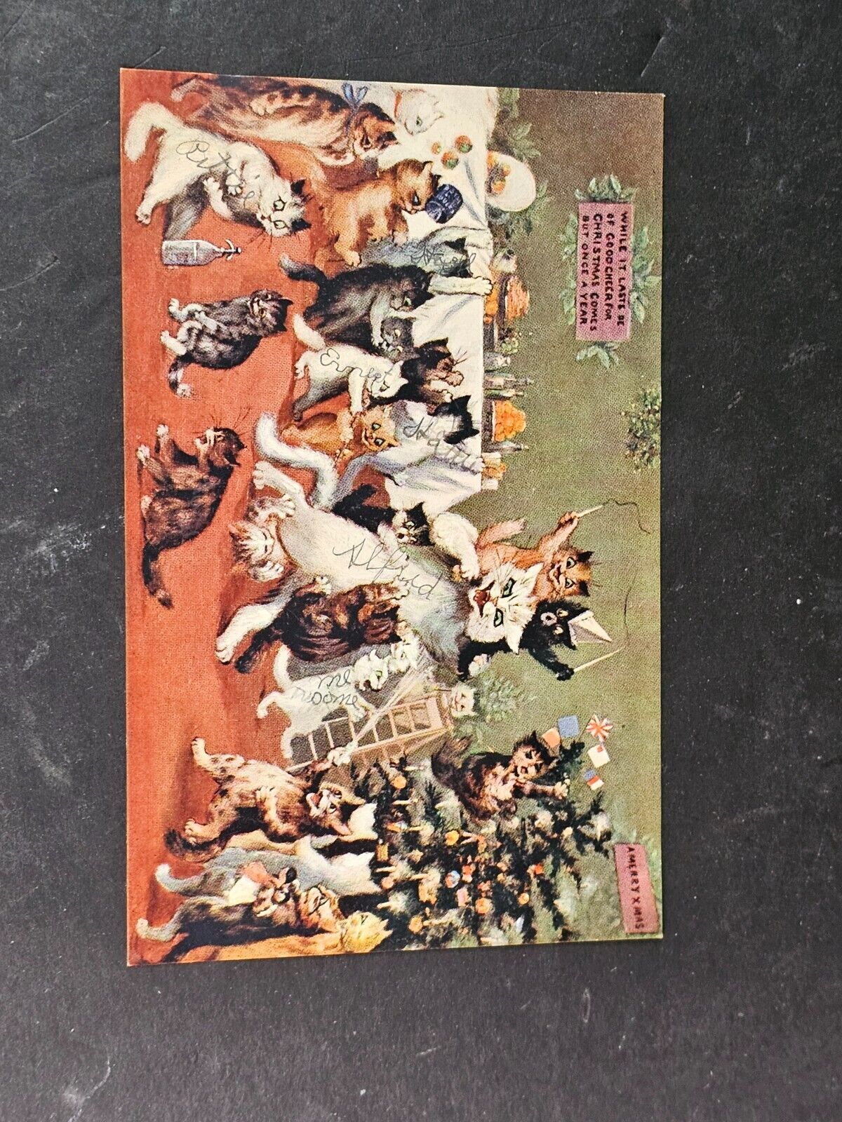 Tuck animal set of 5  3x5 early 1900s cards Great examples