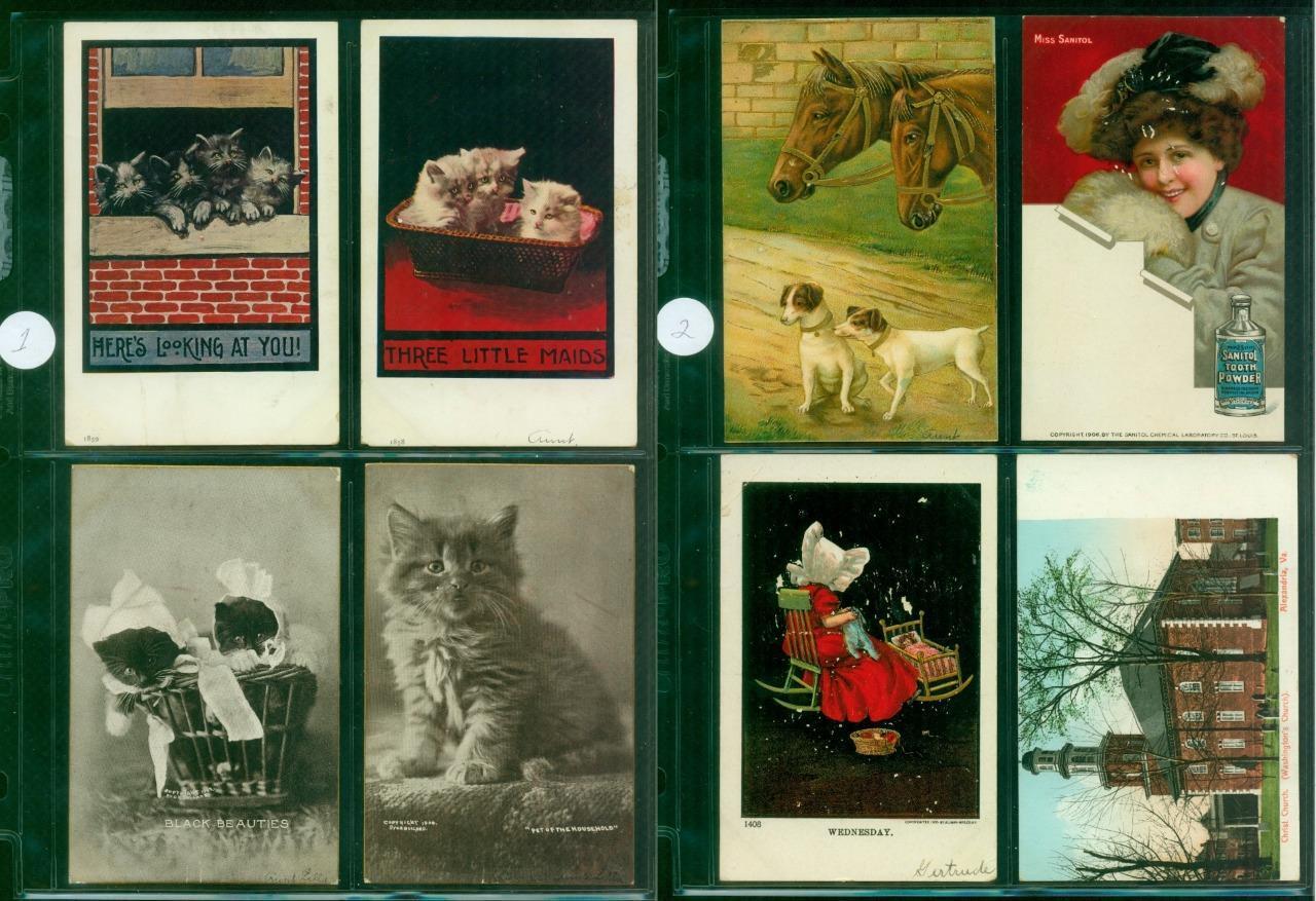 003, Collection of 195 pcs Postcards, Richman Family, NJ, 1900s-1920s, FREE S&H