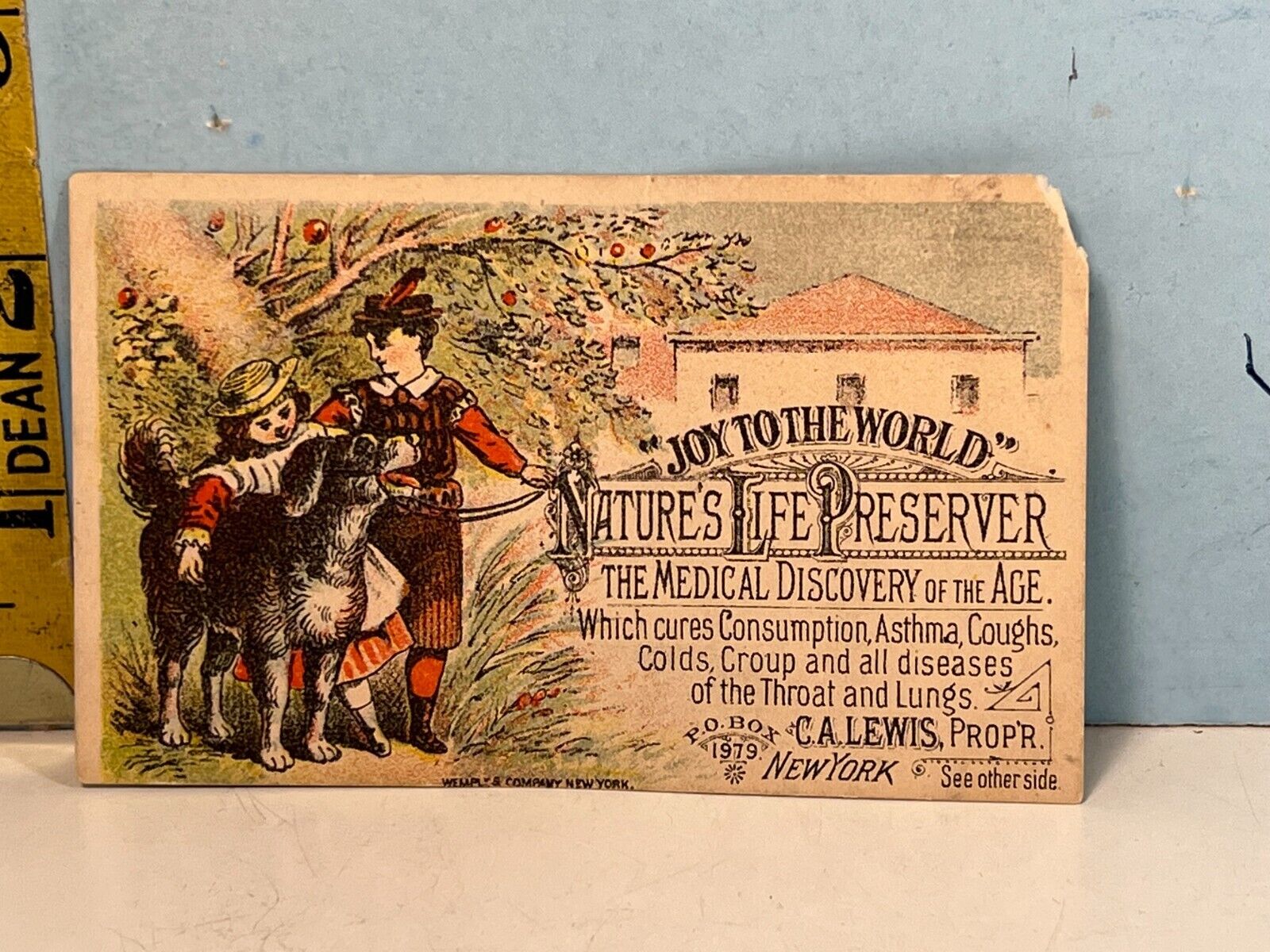 1800's The Joy Remedy "Joy to the World: Remedy trade Card