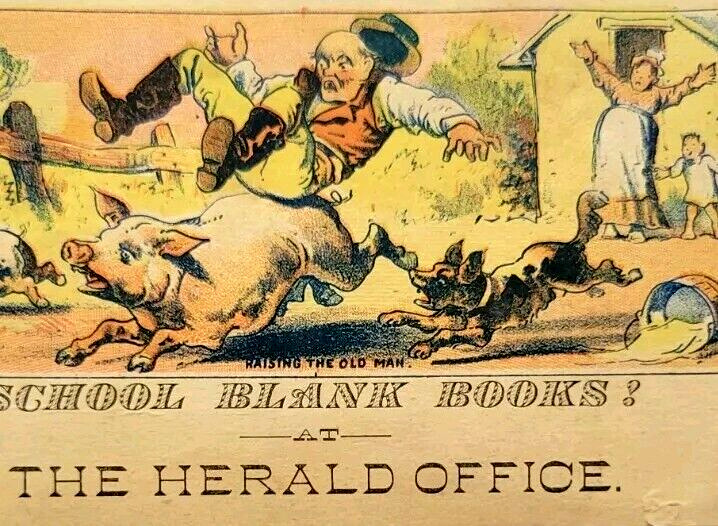1800s Riding the Pigs The Herald Office School Books Ad Trade Card