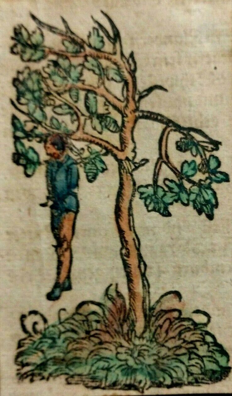 Watercolor Painting Book Illumination - 1450 to Early 1700's