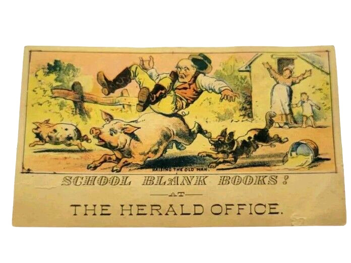 1800s Riding the Pigs The Herald Office School Books Ad Trade Card