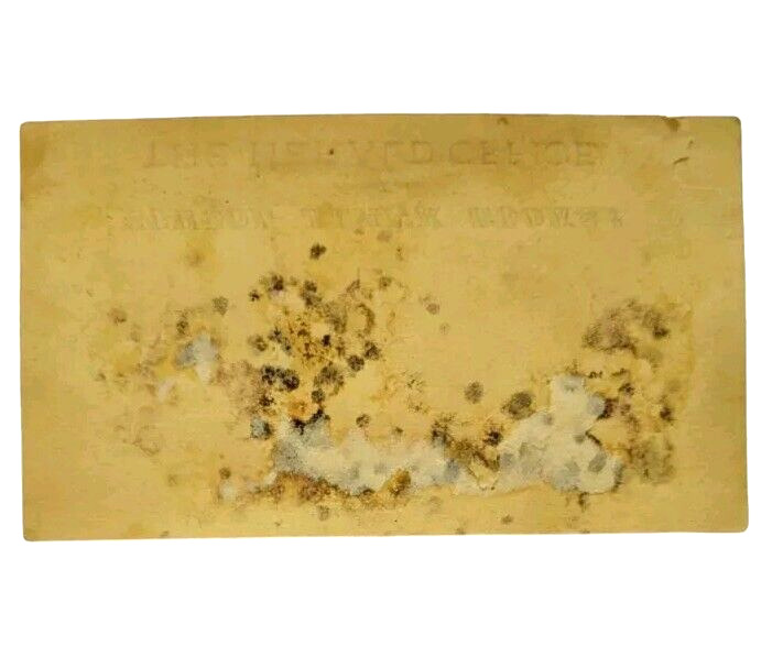 1800s Riding the Pigs The Herald Office School Books Ad Trade Card