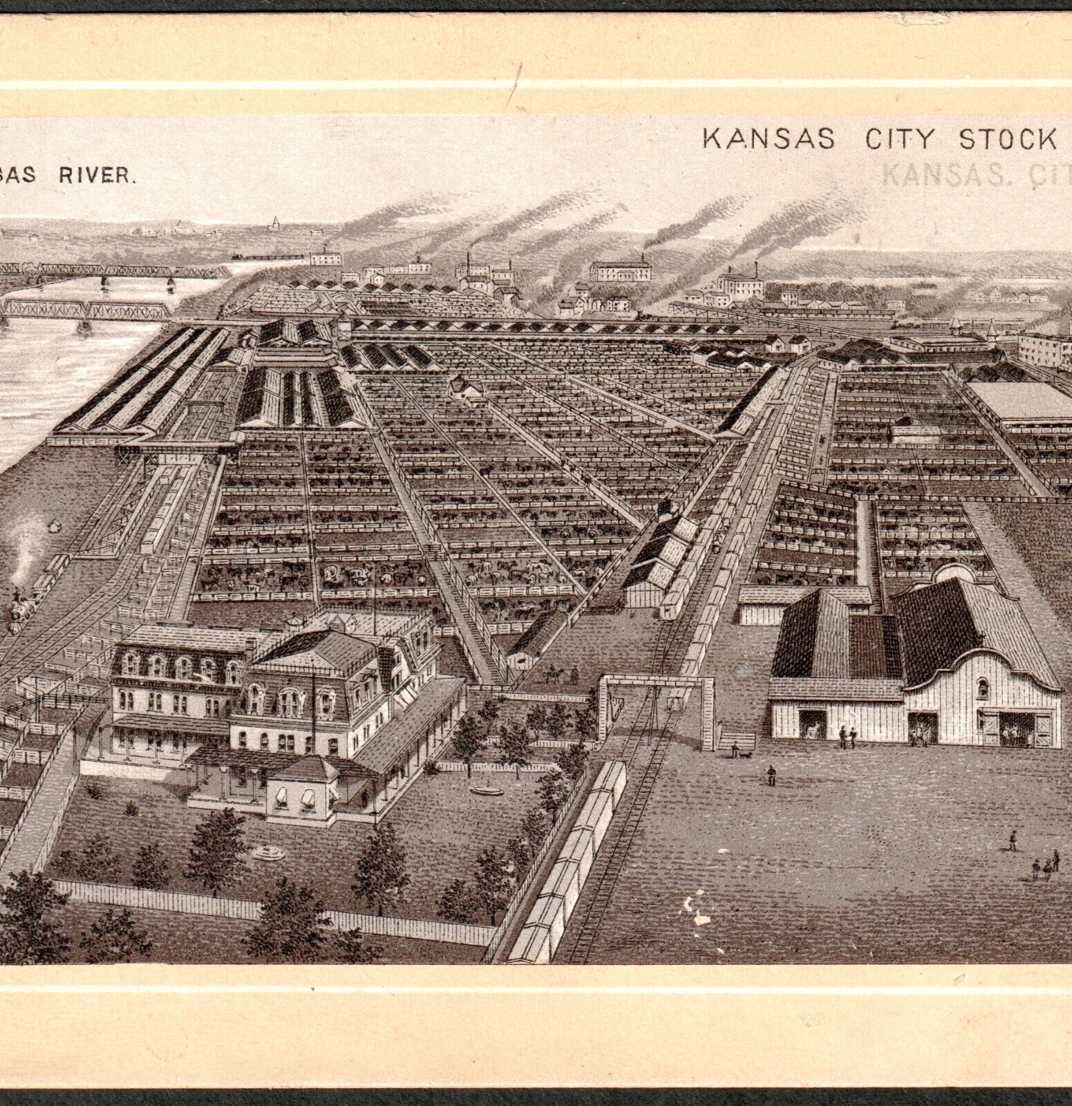 1800's Kansas City Stock Yards Photo-Lith Jersey Coffee Advertising Trade Card