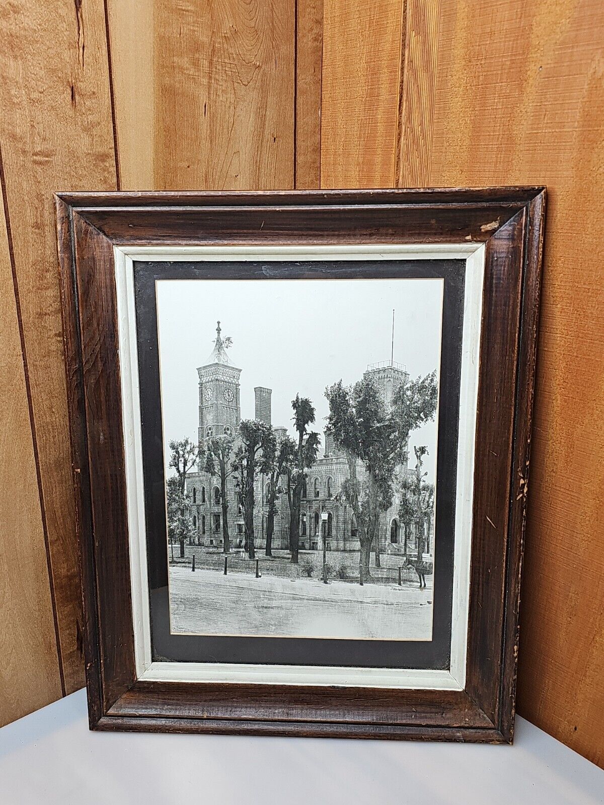 Greensburg IN Indiana COURT HOUSE TOWER Tree Rare Antique PHOTO 1900s 