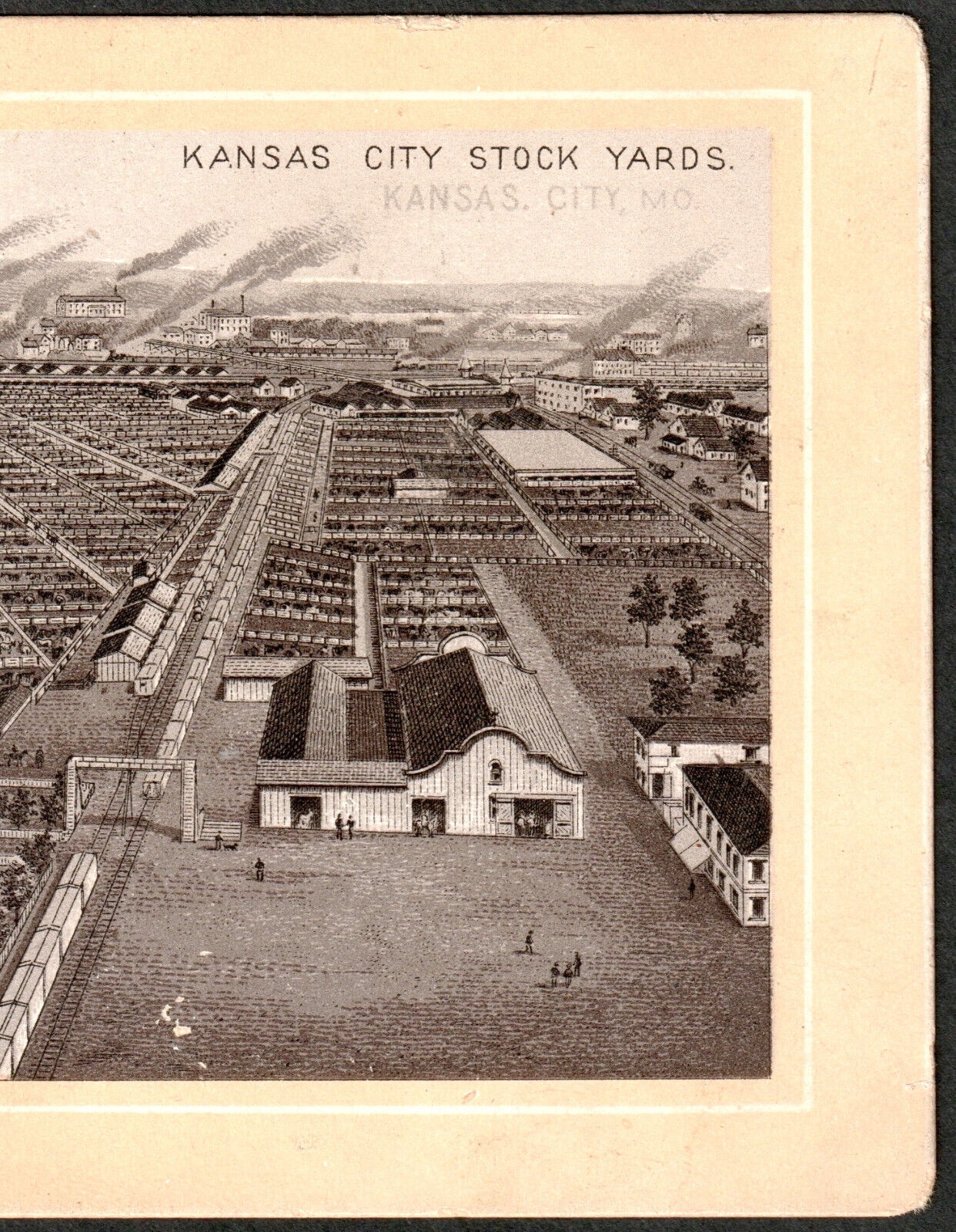 1800's Kansas City Stock Yards Photo-Lith Jersey Coffee Advertising Trade Card