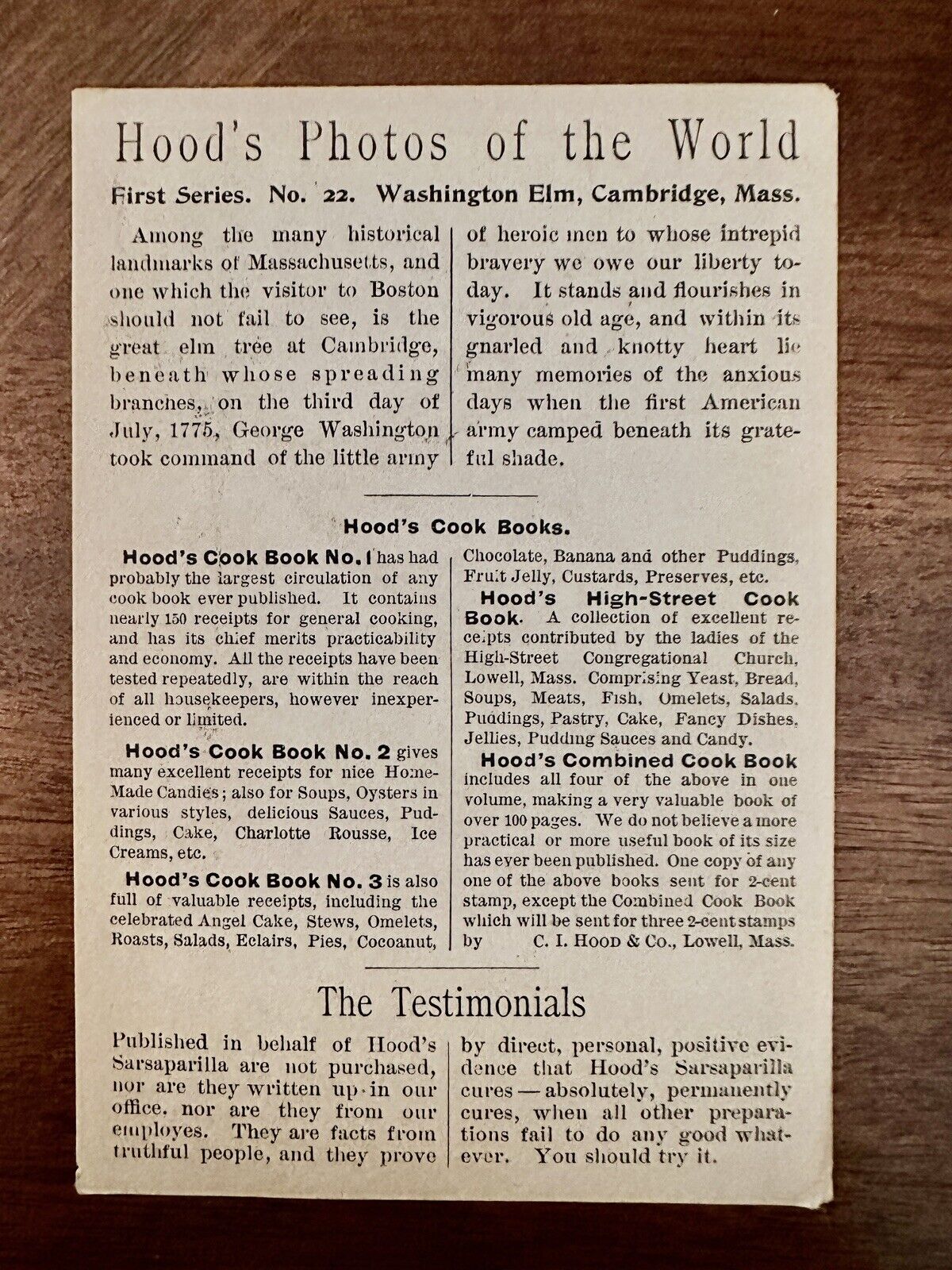 1900's Hood's Photos of the World First Series No 22 Washington Elm Cambridge MA