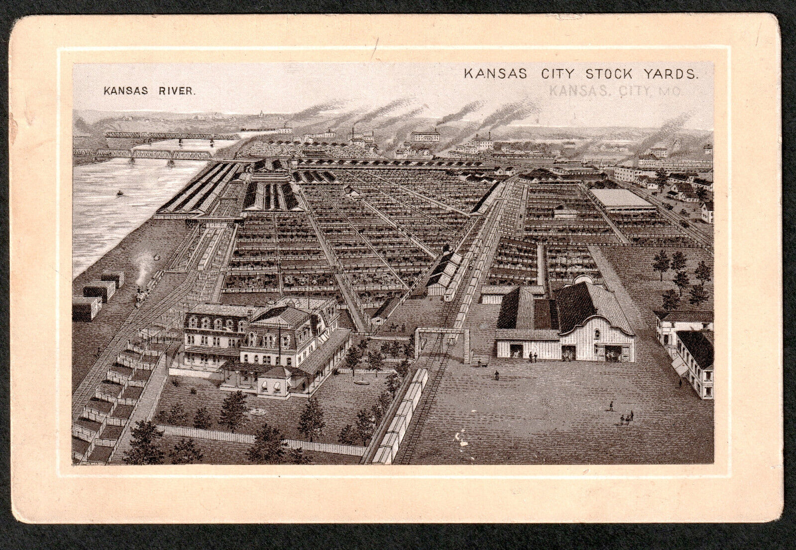 1800's Kansas City Stock Yards Photo-Lith Jersey Coffee Advertising Trade Card