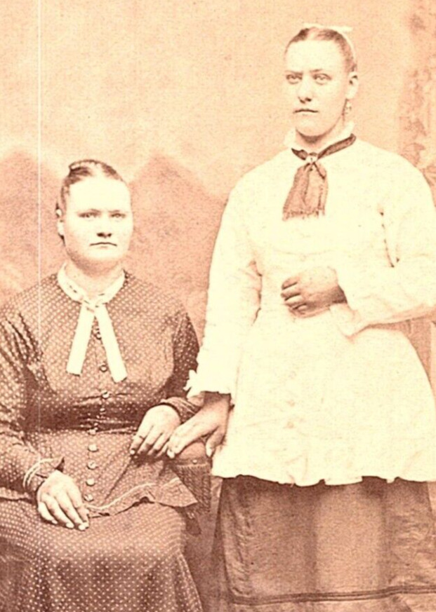 CDV Photo 1800's Waverly, Ia. Ladies Victorian Dress & Collars J.H. Fritz