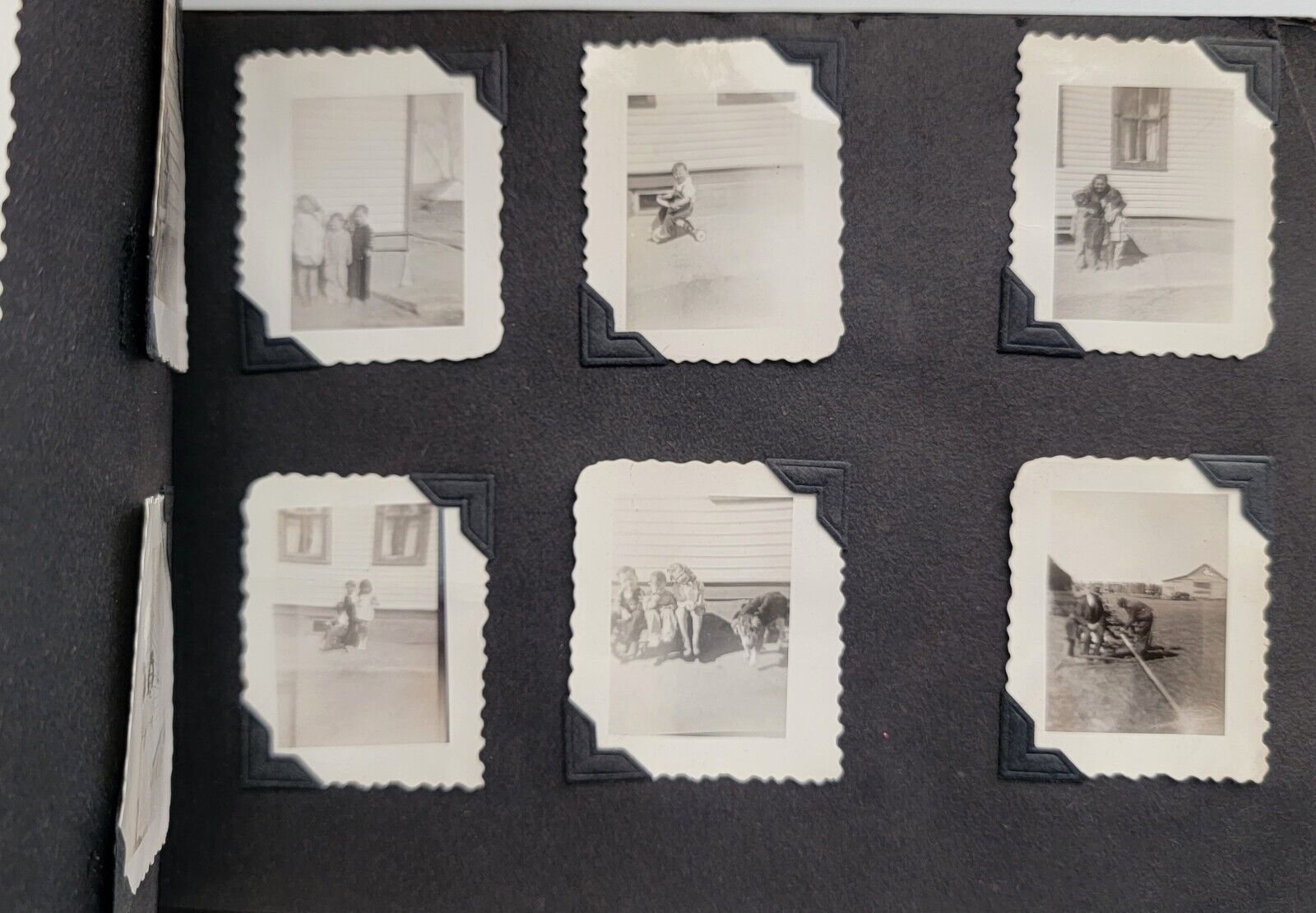 Early 1900s Children / Family Album Rural American Living 50 + Miniature Photos