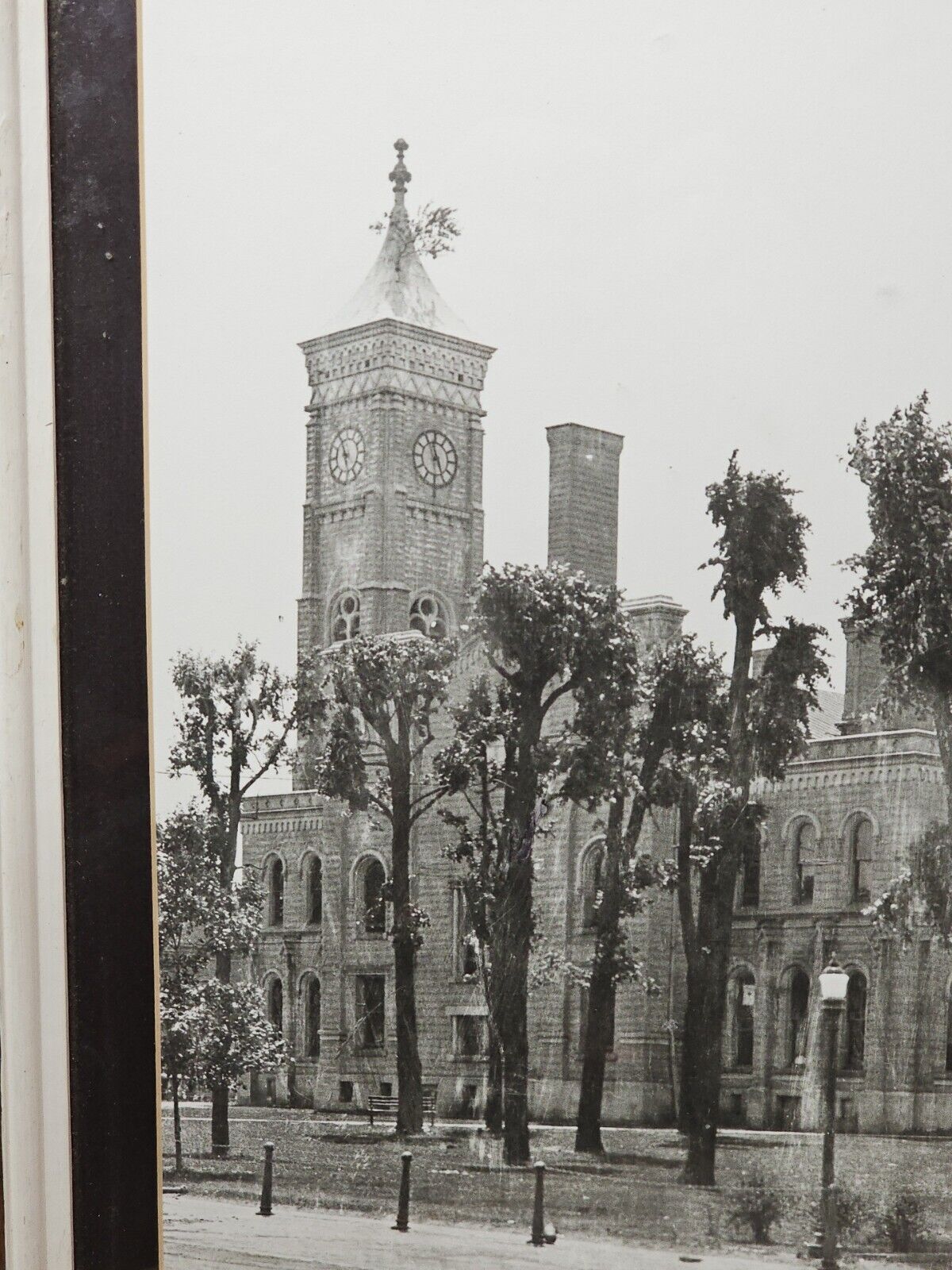 Greensburg IN Indiana COURT HOUSE TOWER Tree Rare Antique PHOTO 1900s 