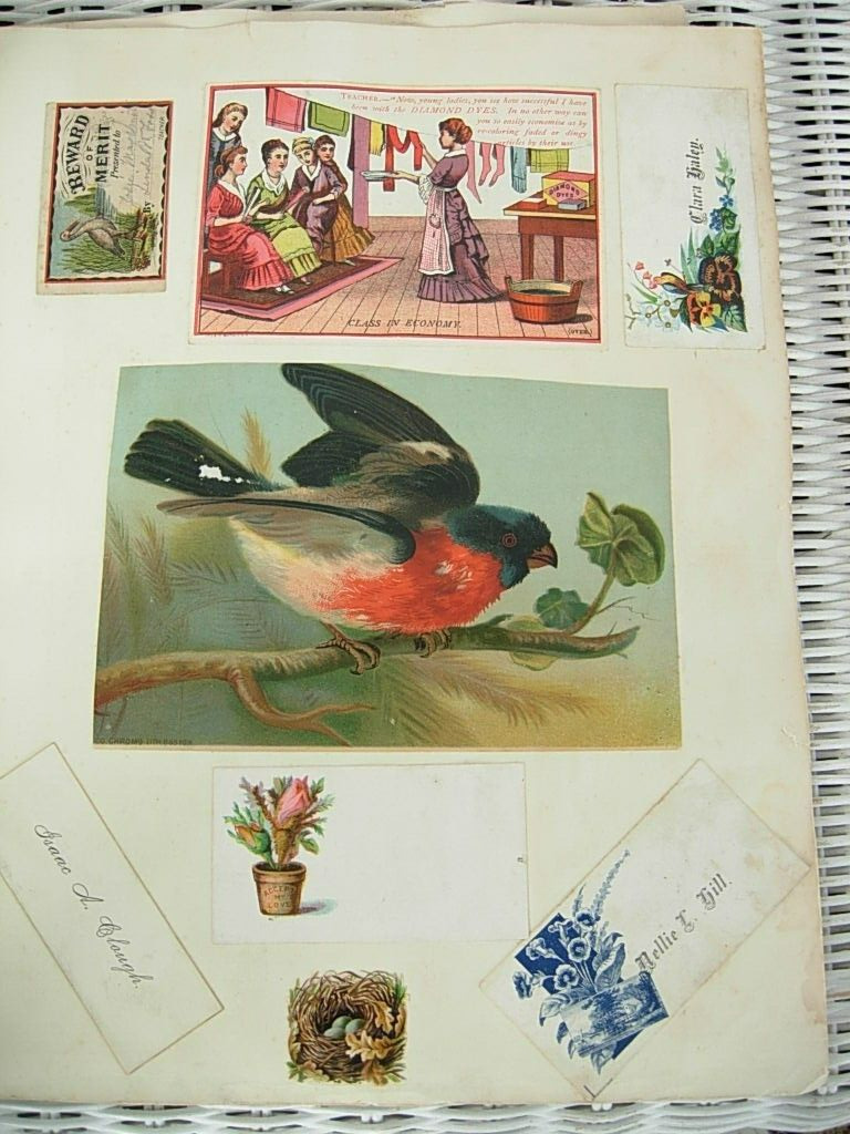 Trade Cards on Victorian Scrapbook 1800s Four Album Pages, Calling Cards