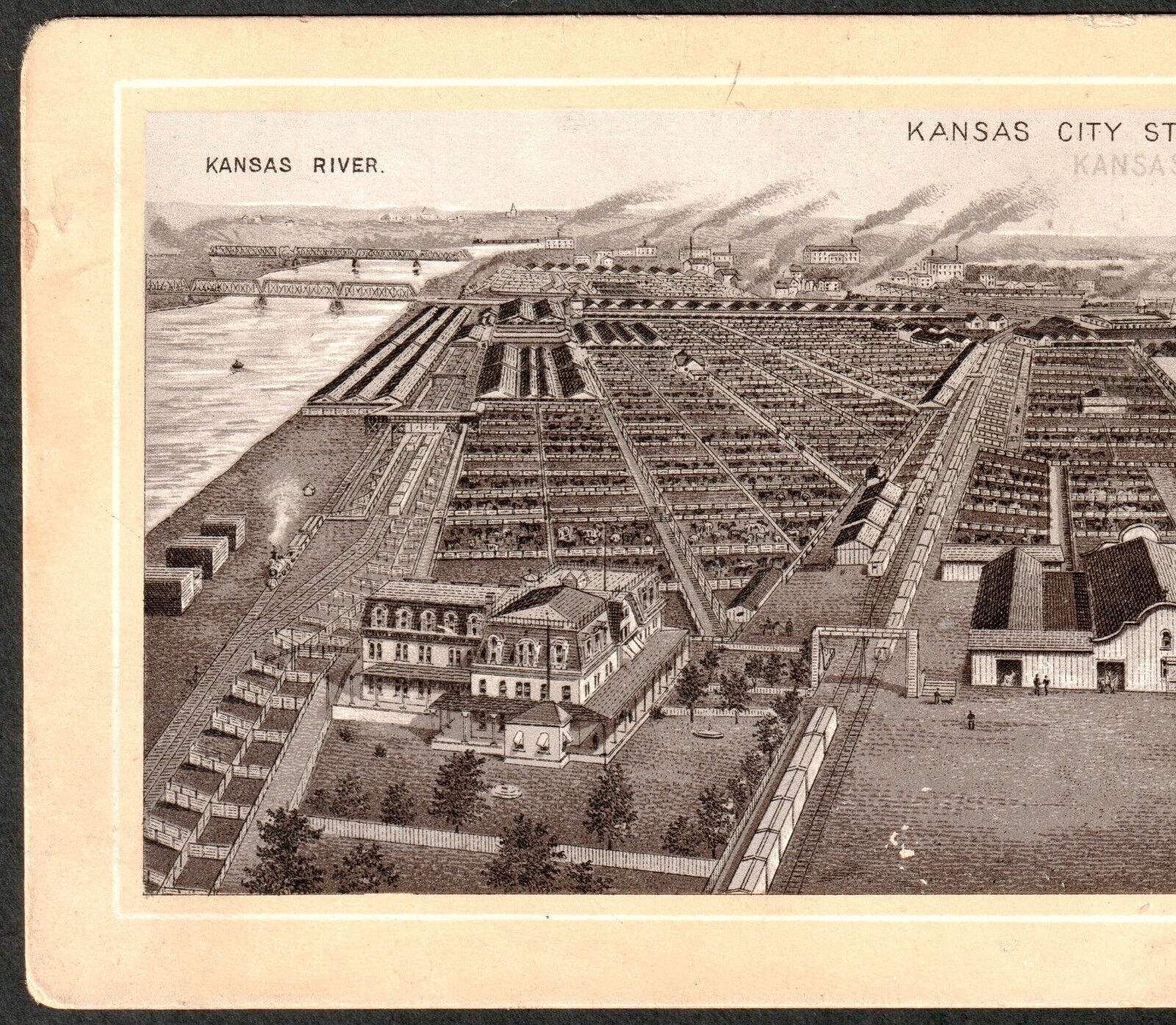 1800's Kansas City Stock Yards Photo-Lith Jersey Coffee Advertising Trade Card