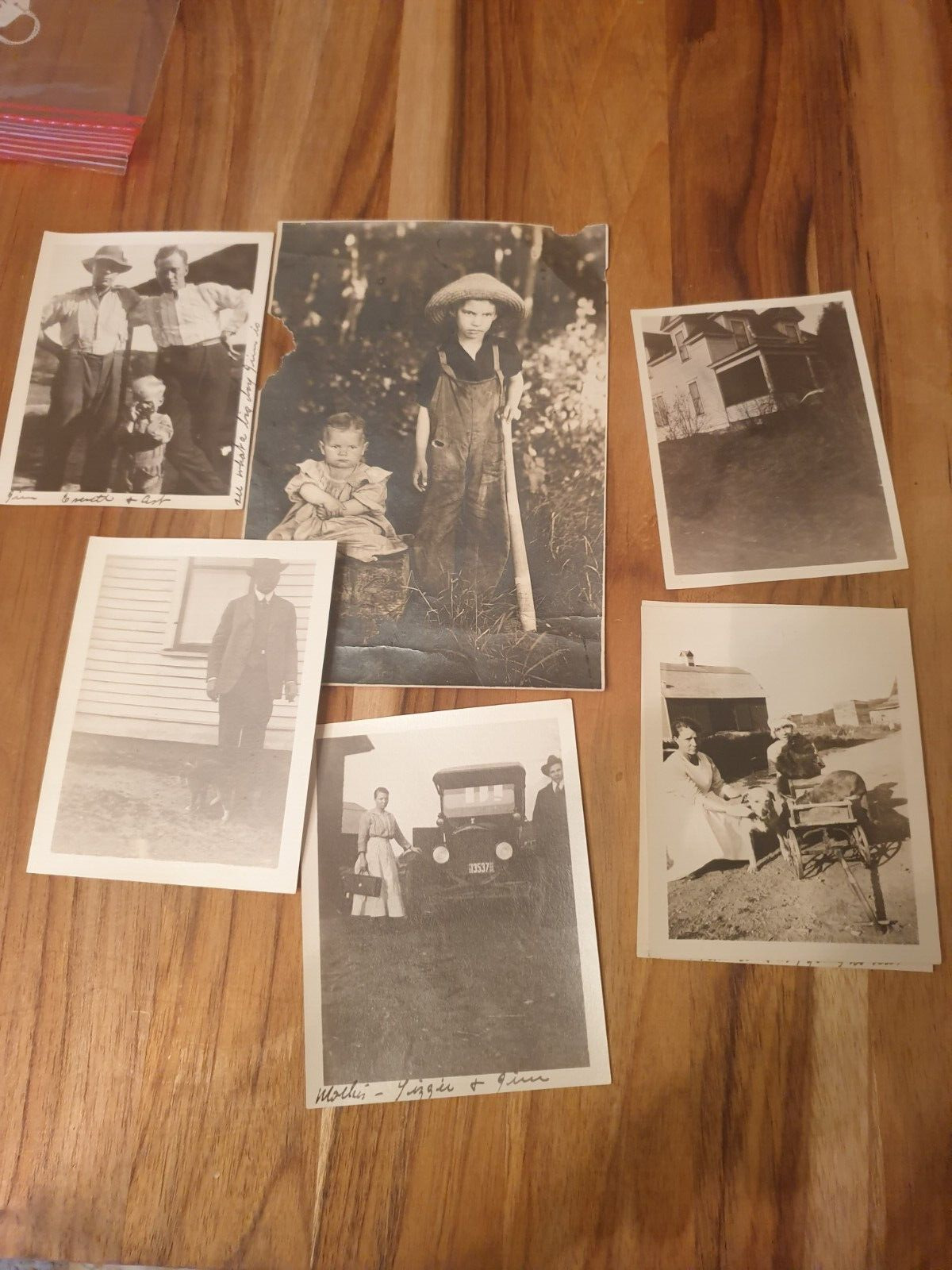 Photographs and RPPC's Farm and daily life 1900's Minnesota