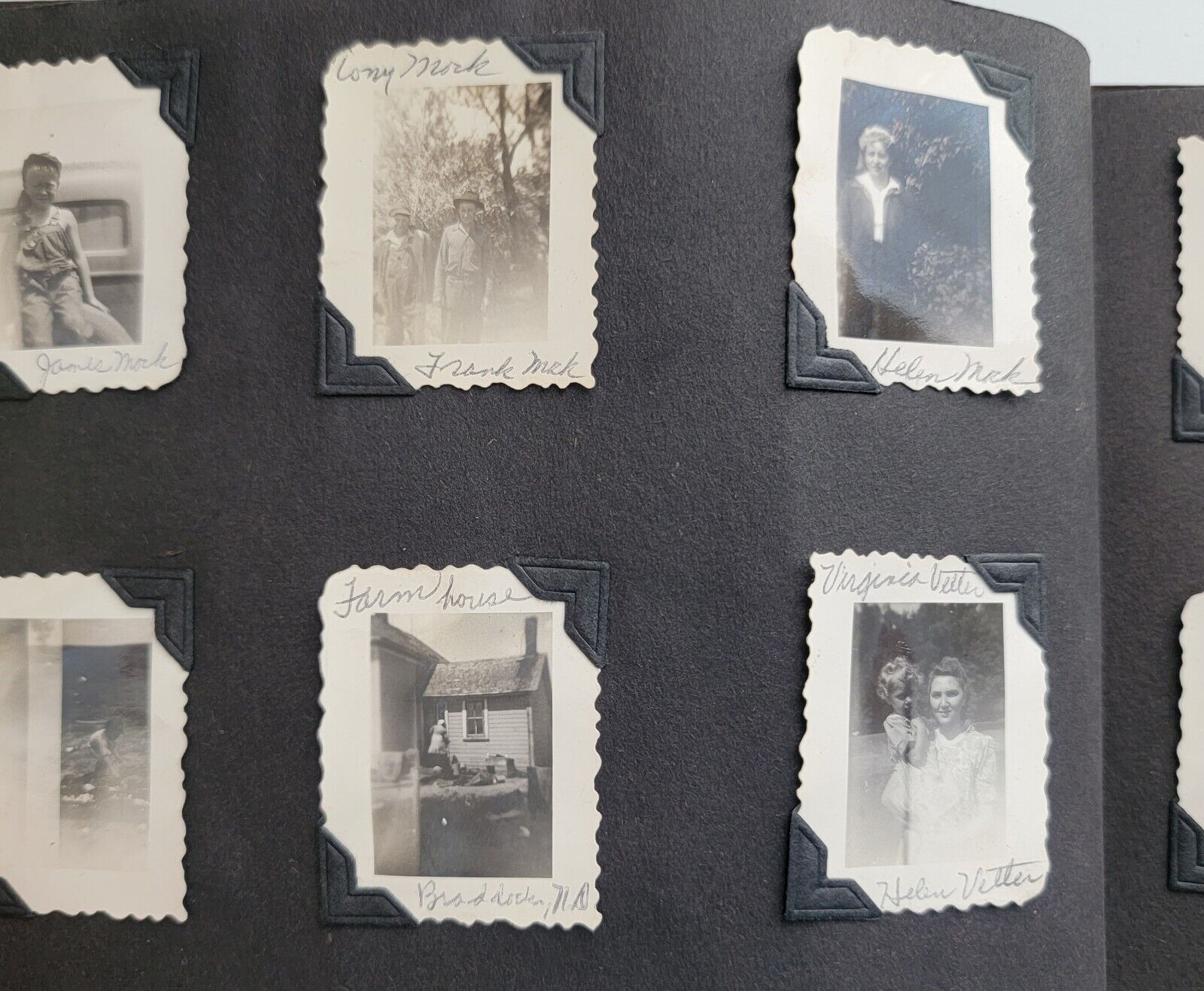 Early 1900s Children / Family Album Rural American Living 50 + Miniature Photos