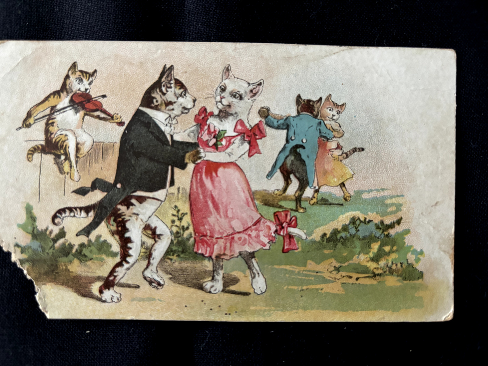 CATS Kitten 1800s Antique Victorian Die Cut Greeting Card Scrap Lot 3 Christmas