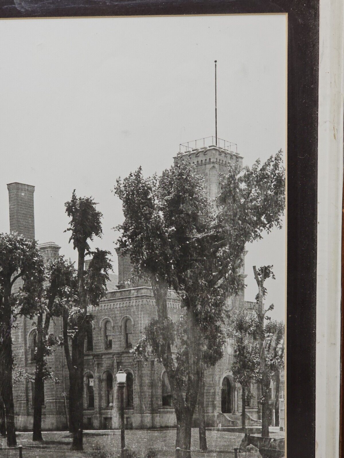 Greensburg IN Indiana COURT HOUSE TOWER Tree Rare Antique PHOTO 1900s 