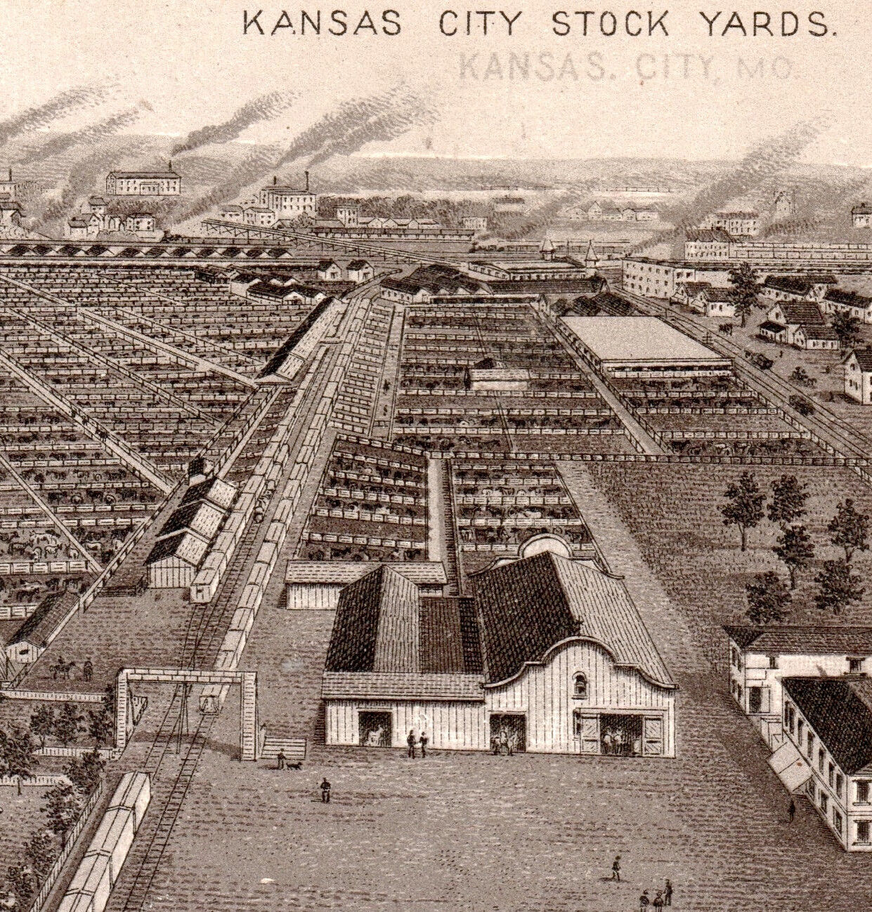 1800's Kansas City Stock Yards Photo-Lith Jersey Coffee Advertising Trade Card