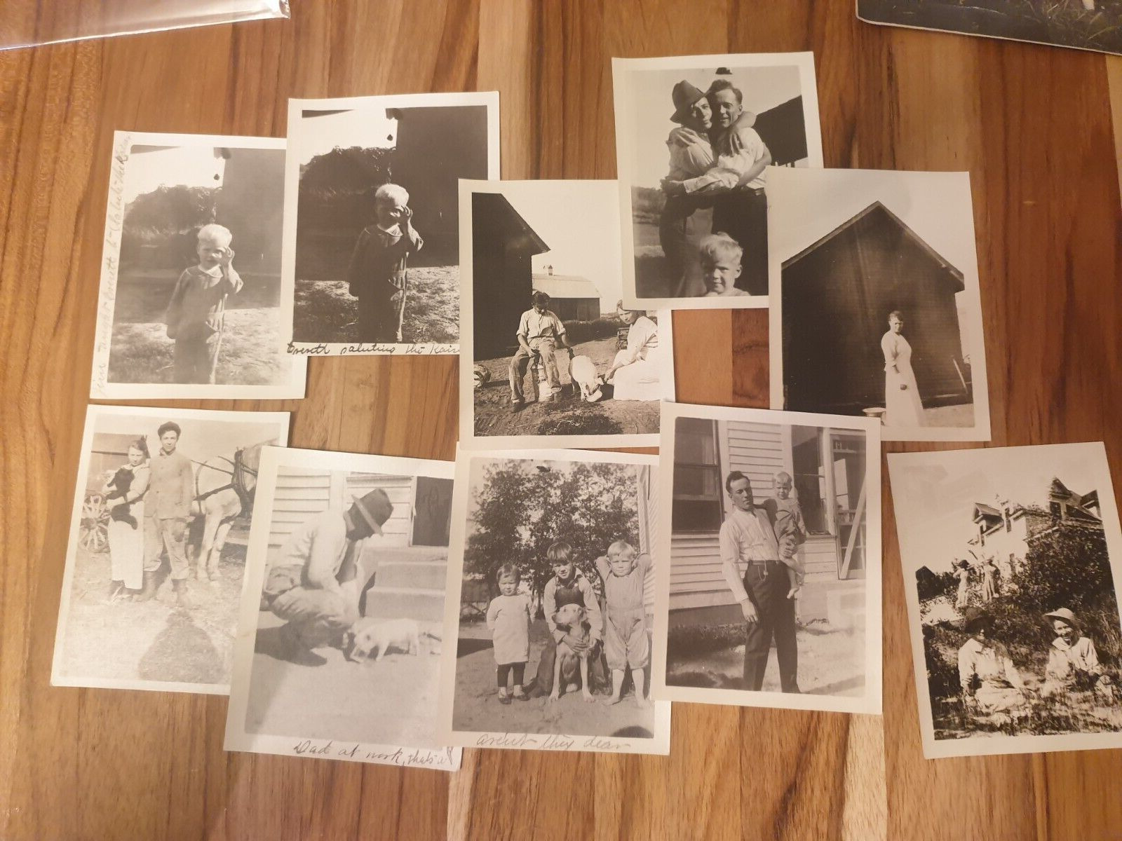 Photographs and RPPC's Farm and daily  life 1900's Minnesota 