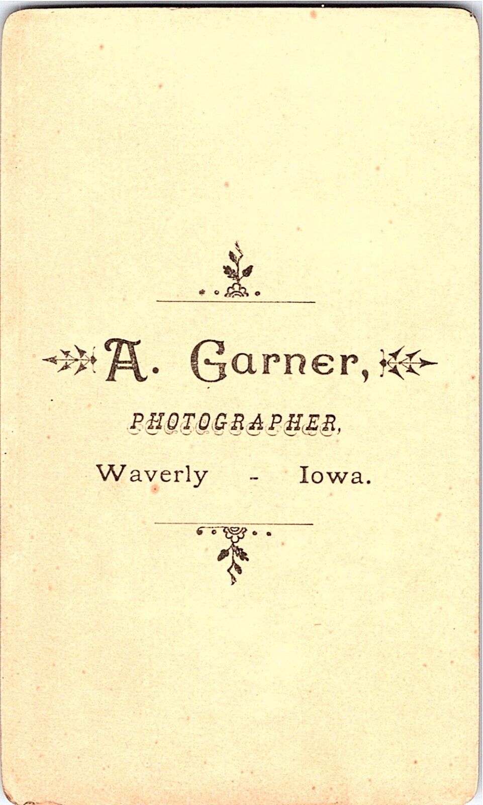 CDV Photo 1800's Waverly, Ia. Pretty lady Victorian Dress Collar Pin A. Garner