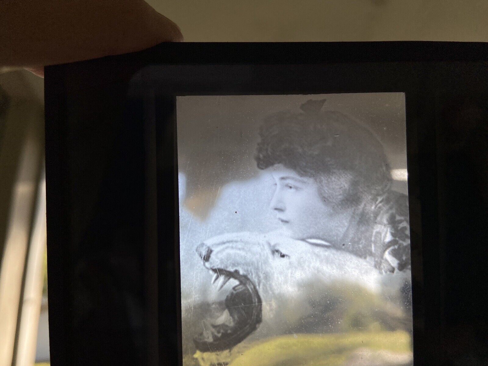 1800’s Artwork Girl And Polar Bear Photographic Negative Glass Silver Slide