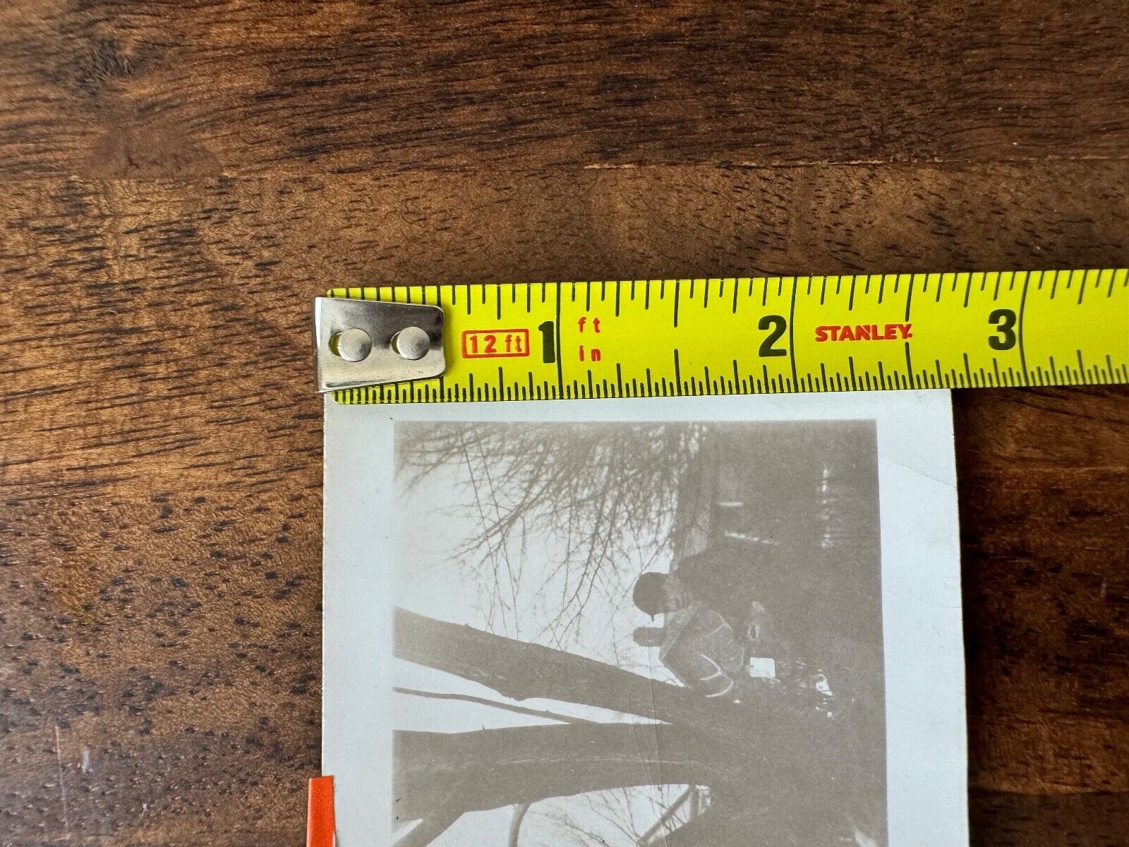 Vintage Photo of a Woman & Man Husband & Wife ? Couple ?