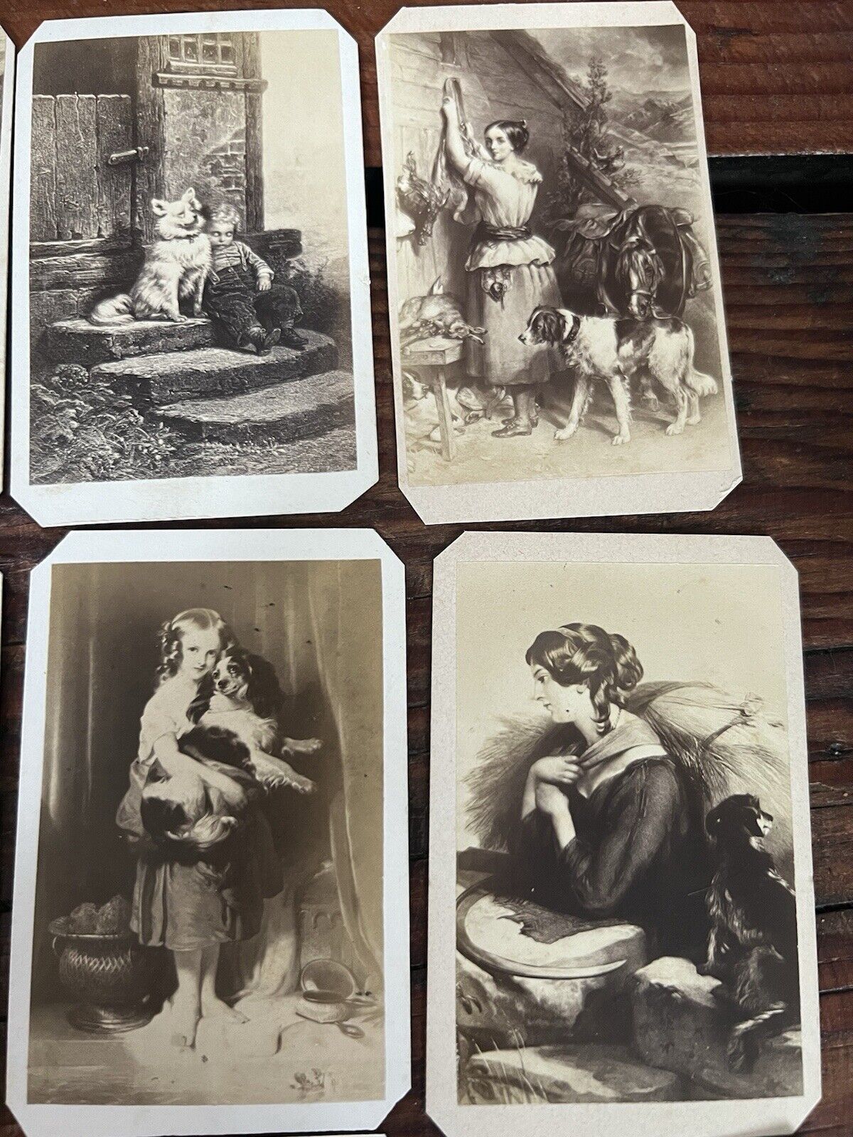 Lot of Antique 1800’s European CDV Story & Art Cards with Dogs - 33 cards