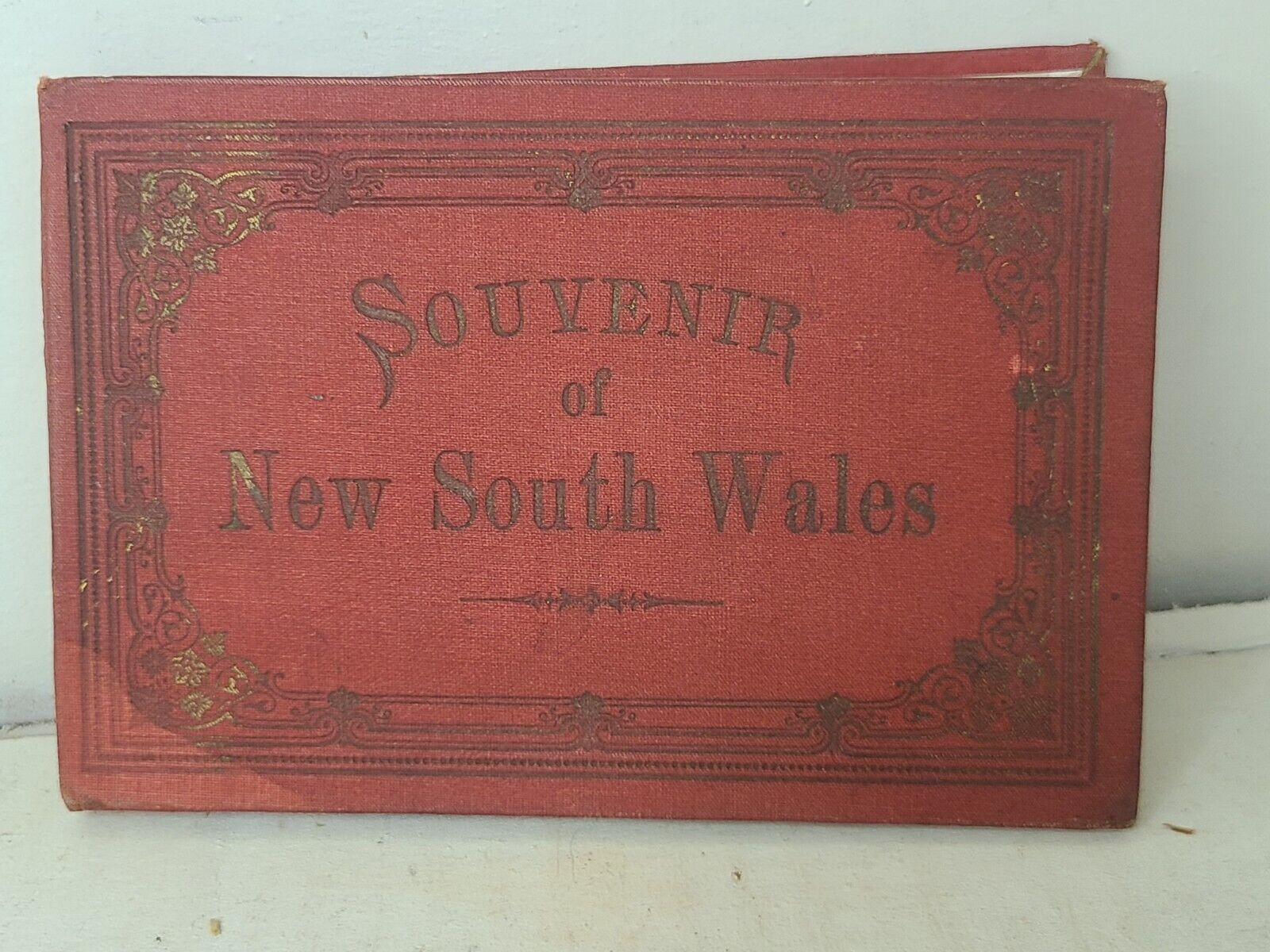 Antique Souvenir book of new South wales 1800s 21 fold-out black & white photos