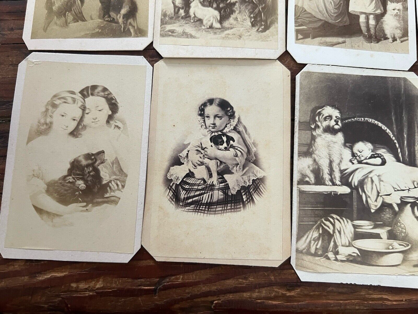 Lot of Antique 1800’s European CDV Story & Art Cards with Dogs - 33 cards